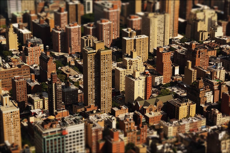 Fruit Trees in Urban Areas