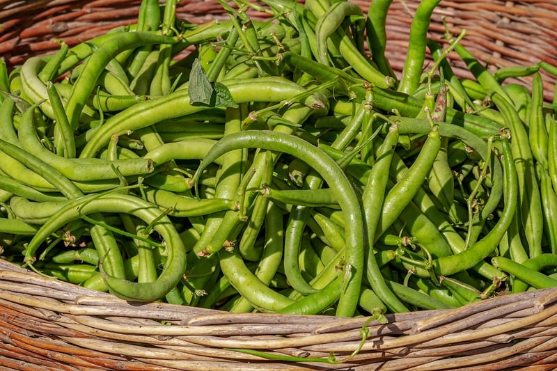 Summer Harvesting
