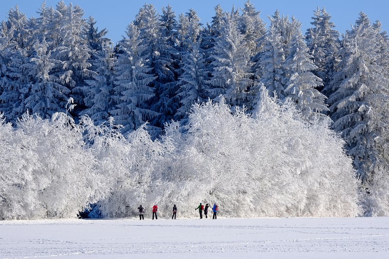Winter Garden